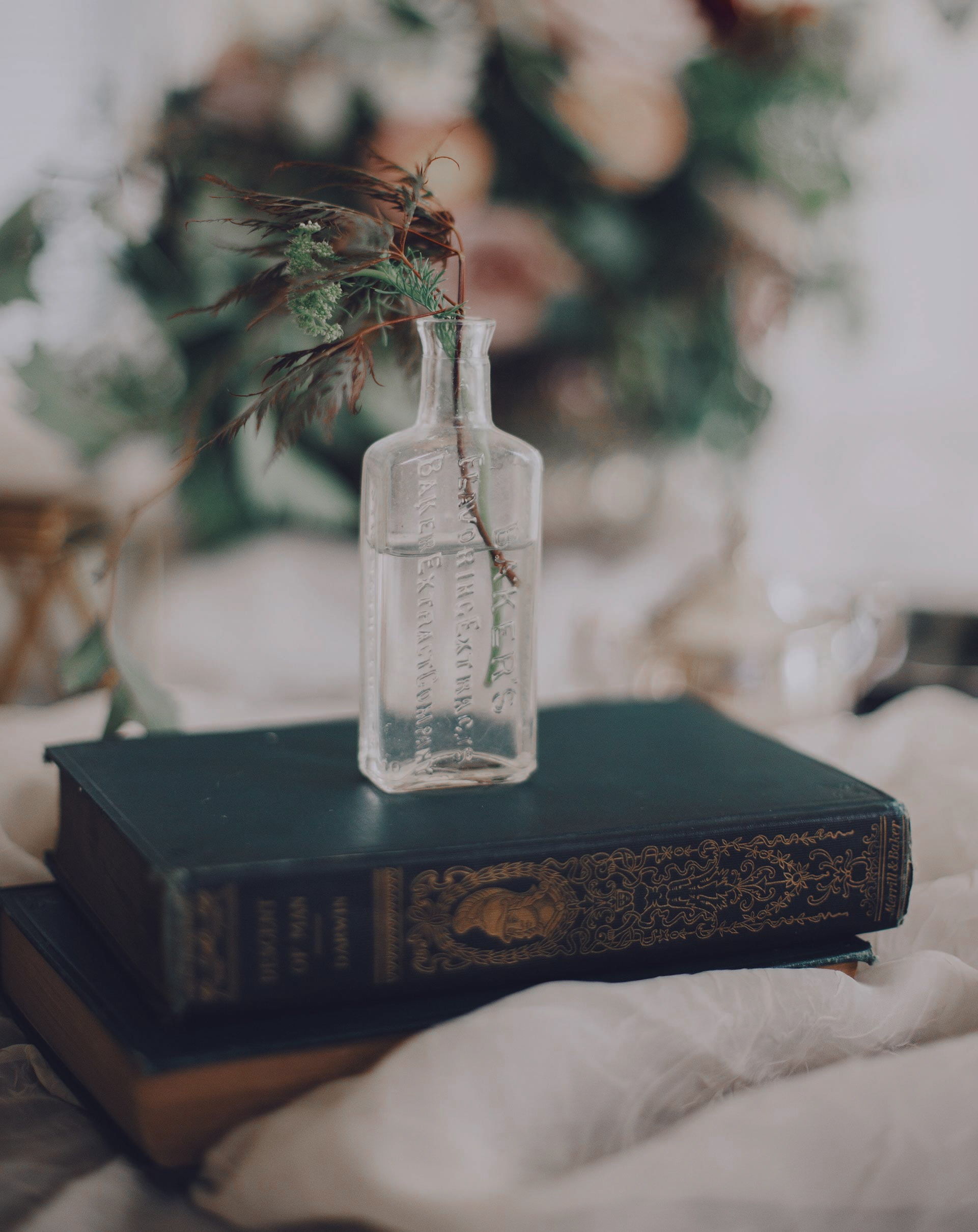 Pflanze in Wasserflasche